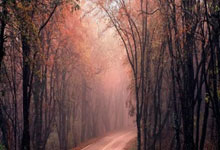 九游娱乐：[德甲]第7轮：美因茨0-2莱比锡 集锦.