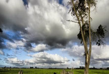 [图]库里复出23+6巴特勒18+10 勇士逆转鹈鹕.