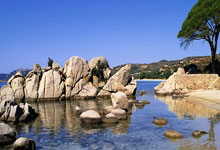 九游娱乐:😵库班:经营独行侠亏了好几亿!23年里只有2年是赚钱的.